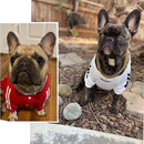 Coleira Guardião Dourado para Cães Coleira Guardião Dourado para Cães SabinoVision 