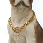 Embalagem da coleira para cães Guardião Dourado Madrupet pronta para presente ou venda