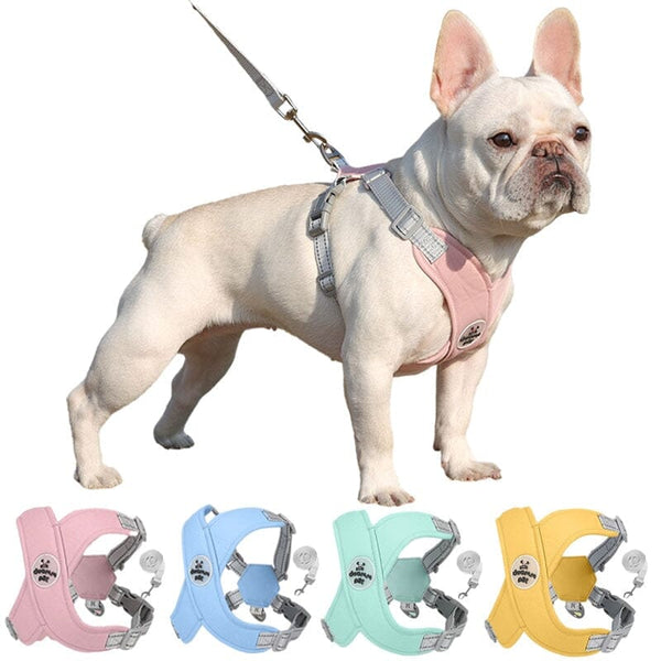 Coleira Peitoral e Guia para Cães e Gatos – Kit Completo Madrupet 