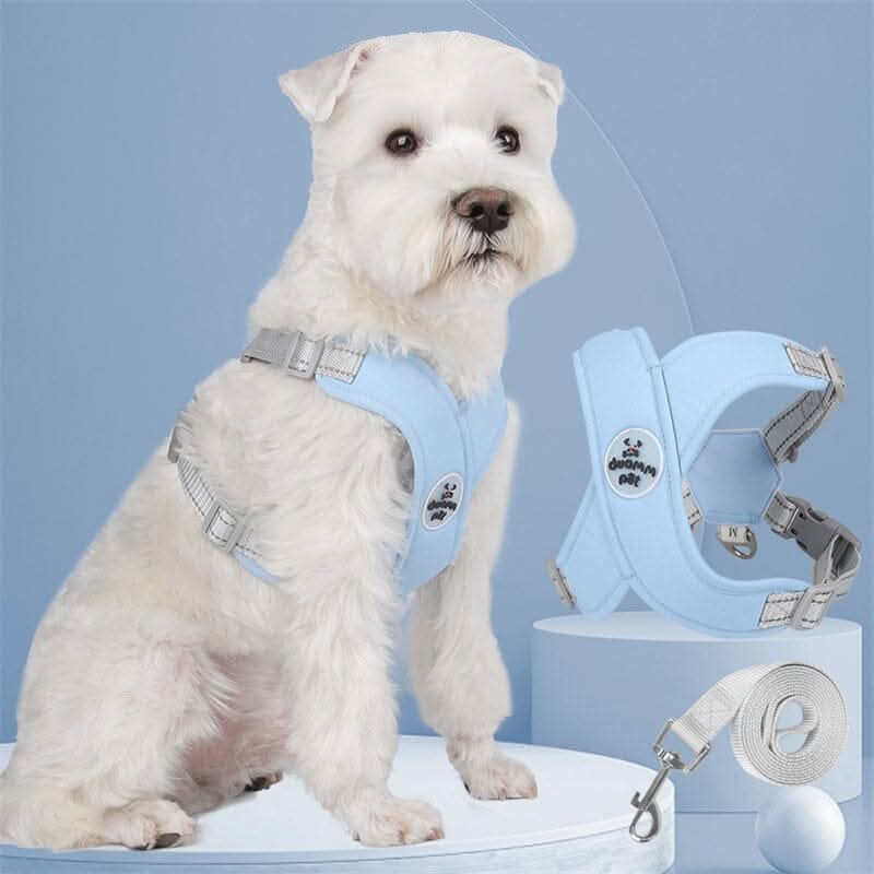 Coleira peitoral para cães com guia em tom azul, destacando o material resistente