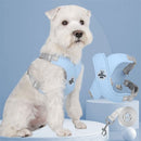 Coleira Peitoral e Guia para Cães e Gatos – Kit Completo Madrupet 