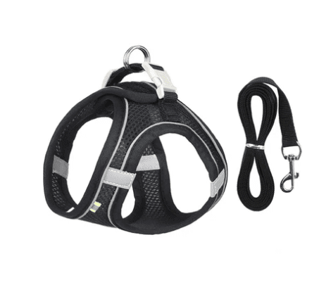 Coleira Peitoral para Cães e Gatos - Conforto e Segurança Madrupet PPP - 1 a 2 Kg Preto 