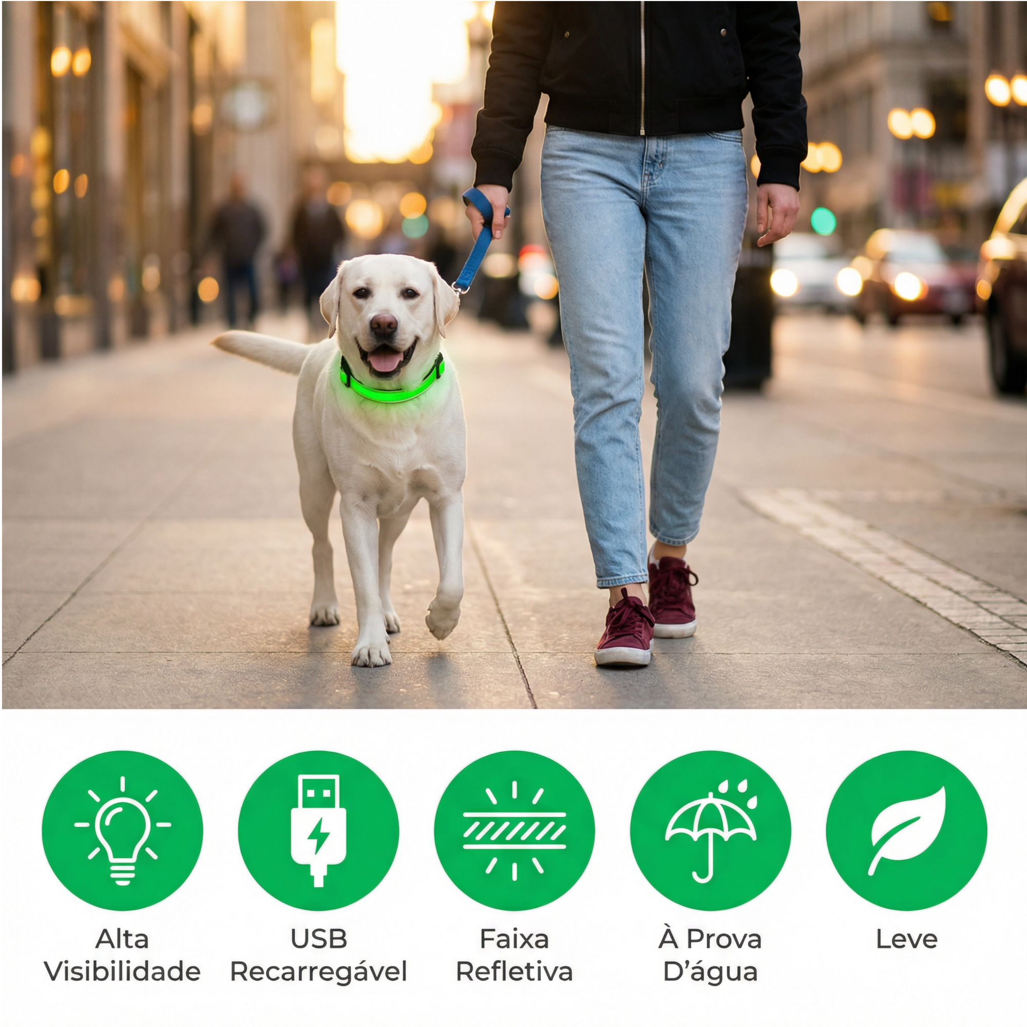 Cão correndo ao ar livre com coleira led para pets acesa para melhor visibilidade Madrupet