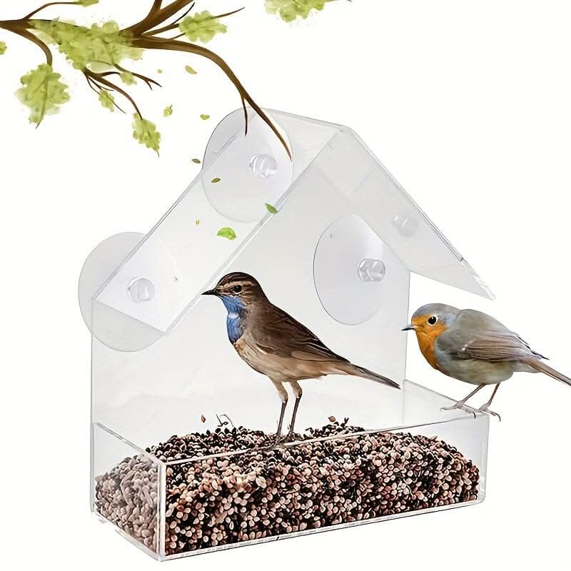Comedouro de acrílico para pássaros em uso no quintal, ideal para alimentação prática