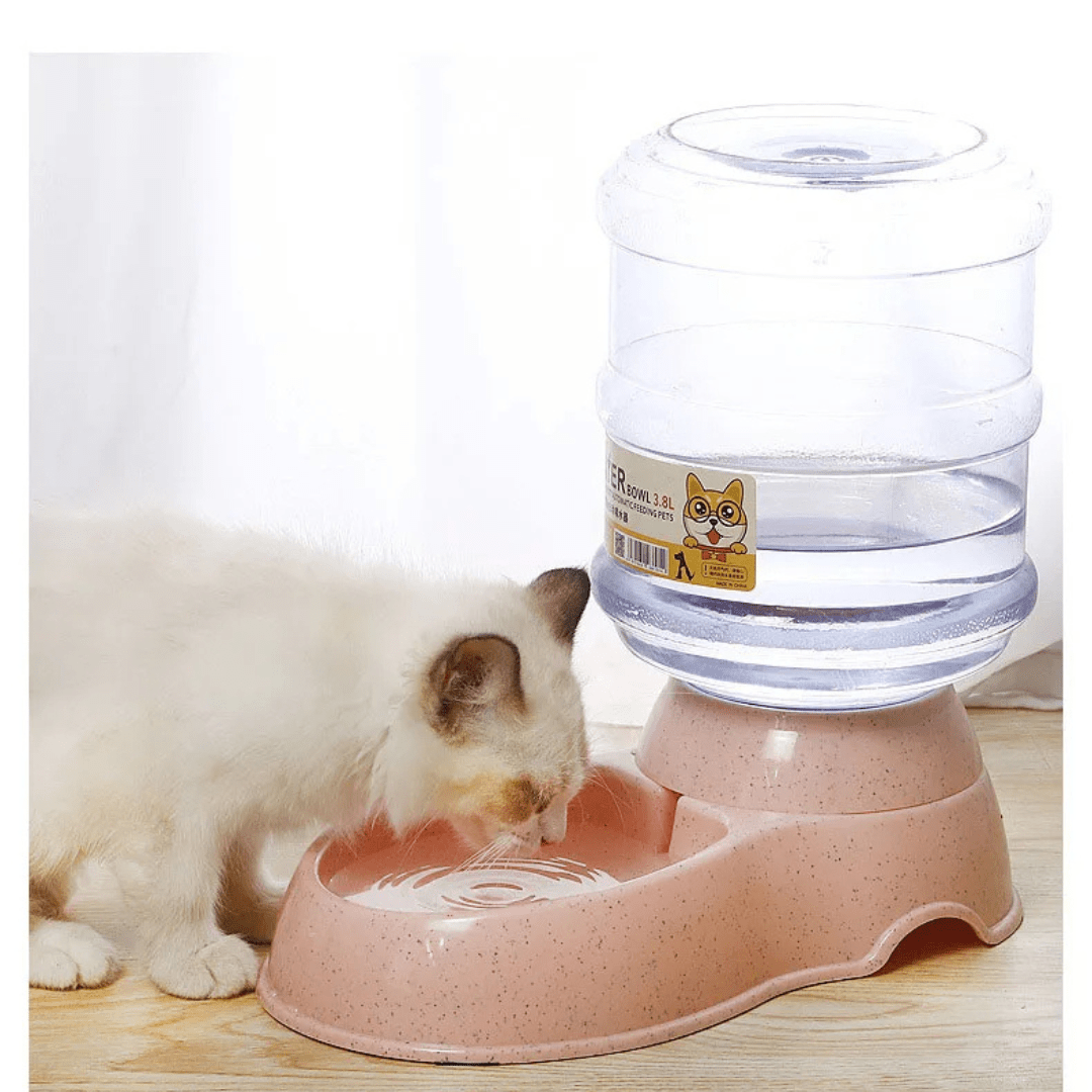 Comedouro e Bebedouro Automático para Pets - Praticidade e Autonomia Madrupet 
