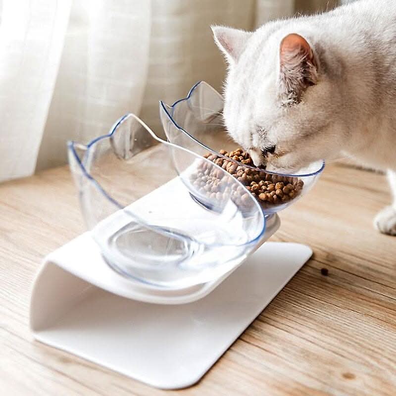 Cachorro usando comedouro e bebedouro elevado durante a alimentação para maior conforto