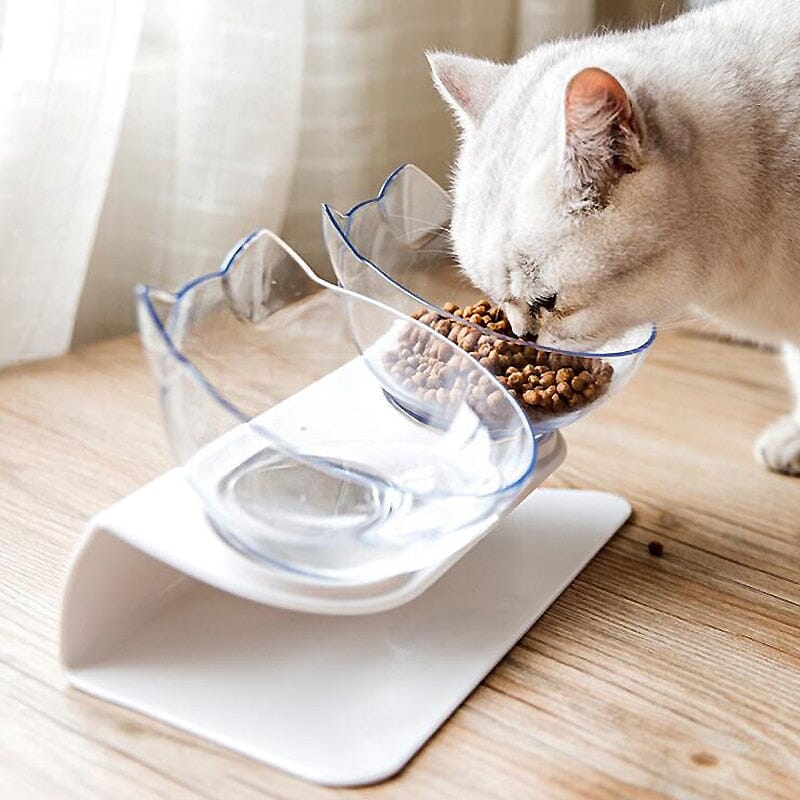 Comedouro e Bebedouro Gato Elevado - Postura Certa Comedouro e Bebedouro Elevado para Pets Madrupet 