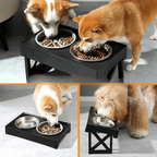 Cachorro utilizando comedouro elevado Madrupet para alimentação saudável e postura correta