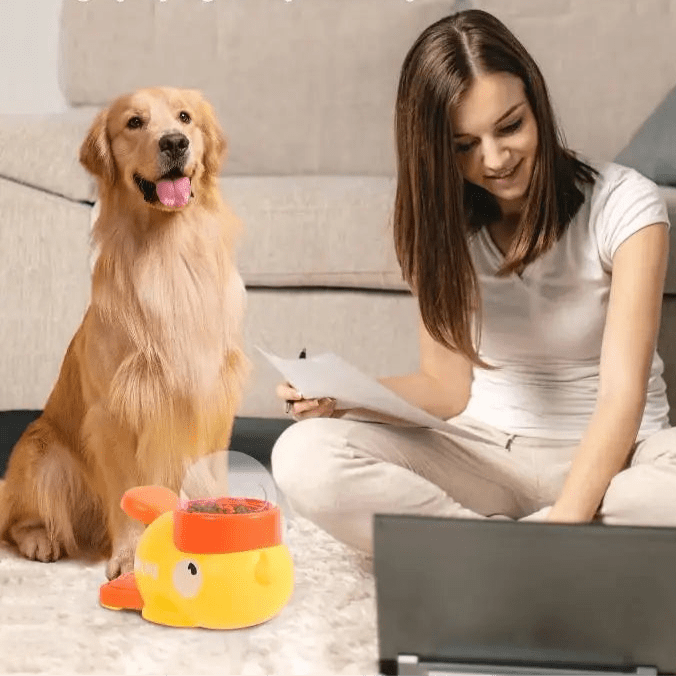 Comedouro interativo para pets em diferentes cores e tamanhos, ideal para estimular o raciocínio