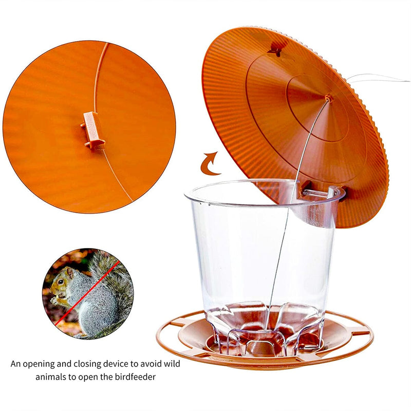 Comedouro Suspenso para Pássaros Silvestres - Ideal para Jardim Madrupet 