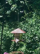 Comedouro Suspenso para Pássaros Silvestres - Ideal para Jardim Madrupet 