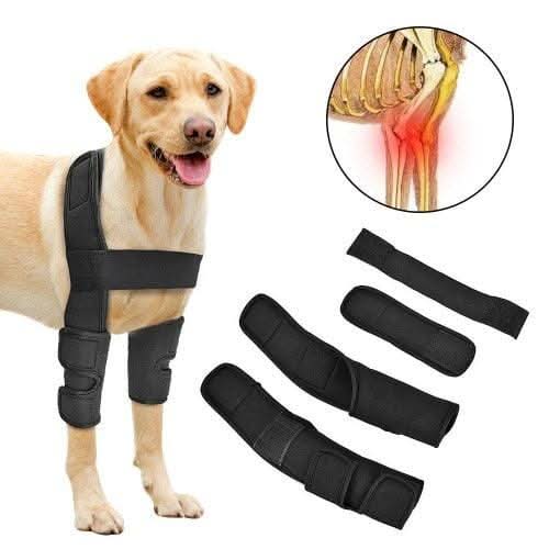 Detalhe do material respirável e ajuste em velcro da cotoveleira ortopédica para cães