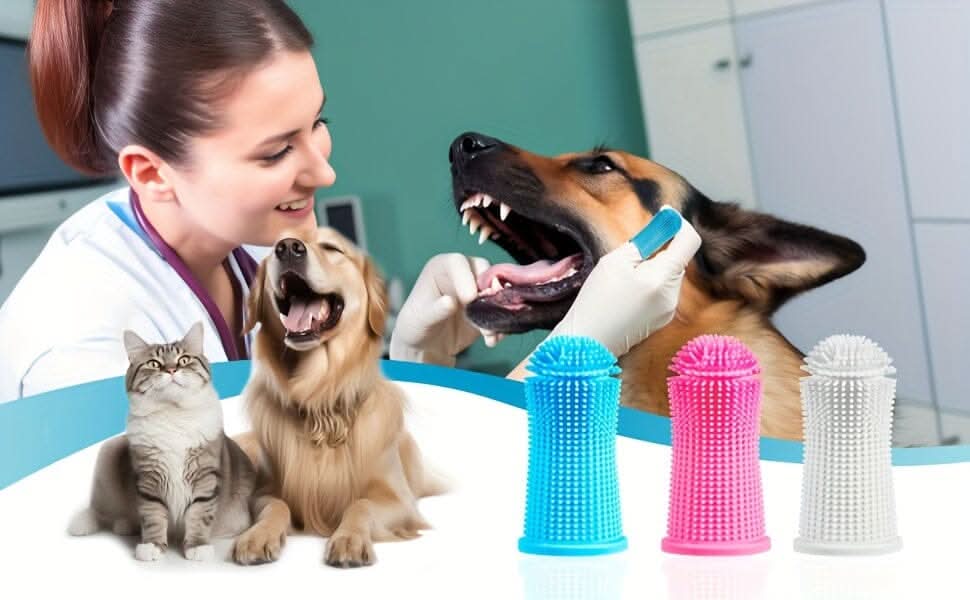 Detalhe das cerdas de silicone macias da escova dental para cuidados dentários pet