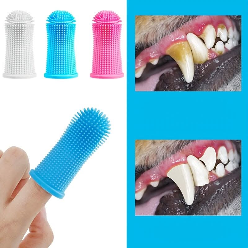 Cachorro usando escova dental de silicone para pets durante a escovação sem estresse