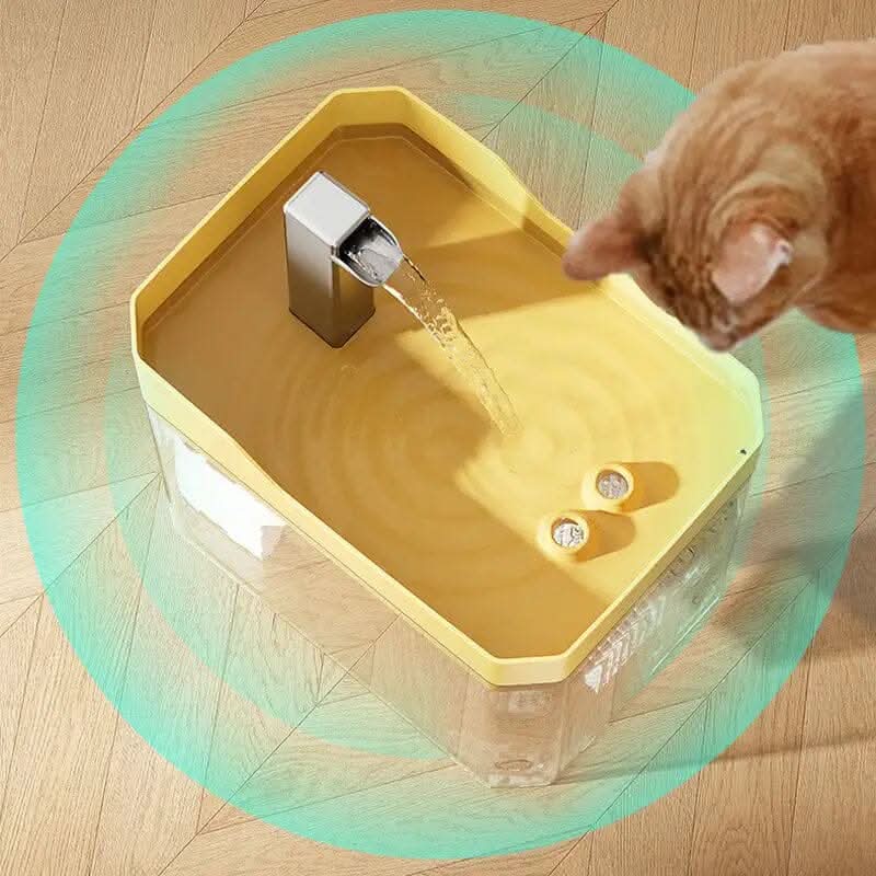 bebedouro fonte 1,5l com água corrente para gatos e cães em cozinha iluminada
