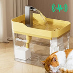 Cachorro bebendo água corrente no bebedouro fonte com filtro Madrupet 1,5L