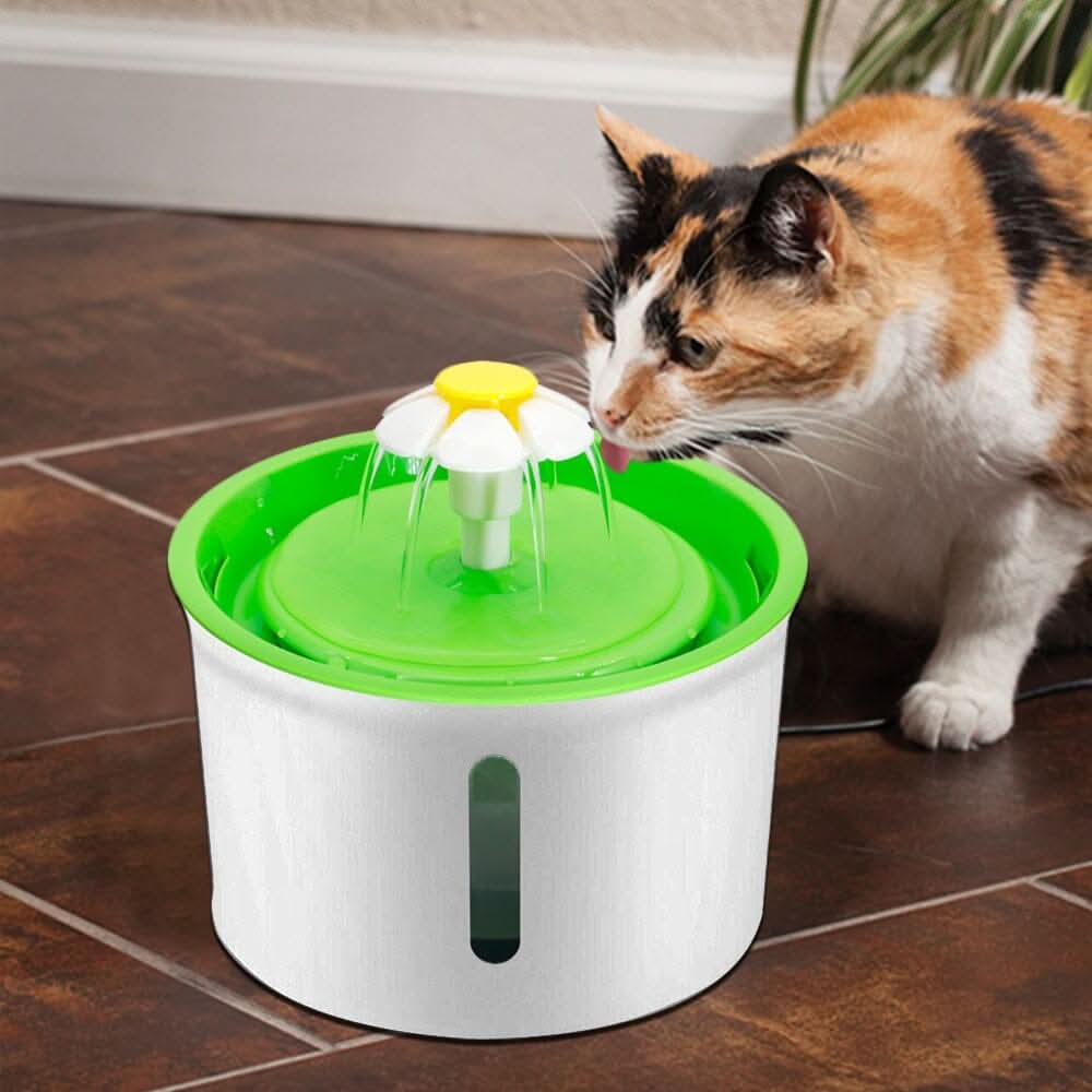 Fonte de Água Para Gatos Fonte de Água Para Gatos Sabinovision 