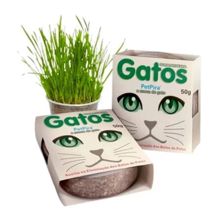 Graminha para Gatos – Natural e Segura para Comer (Kit com 2) Madrupet Kit Com 2 Unidades 