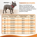 Variação do colar pet estilo cubano em tamanho pequeno para gatos