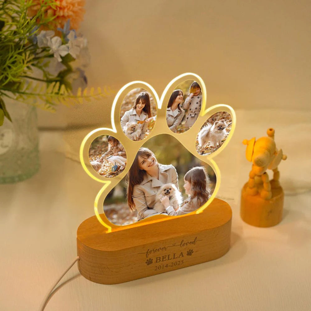 Cachorro ao lado da luminária memorial para pets, simbolizando homenagem e carinho