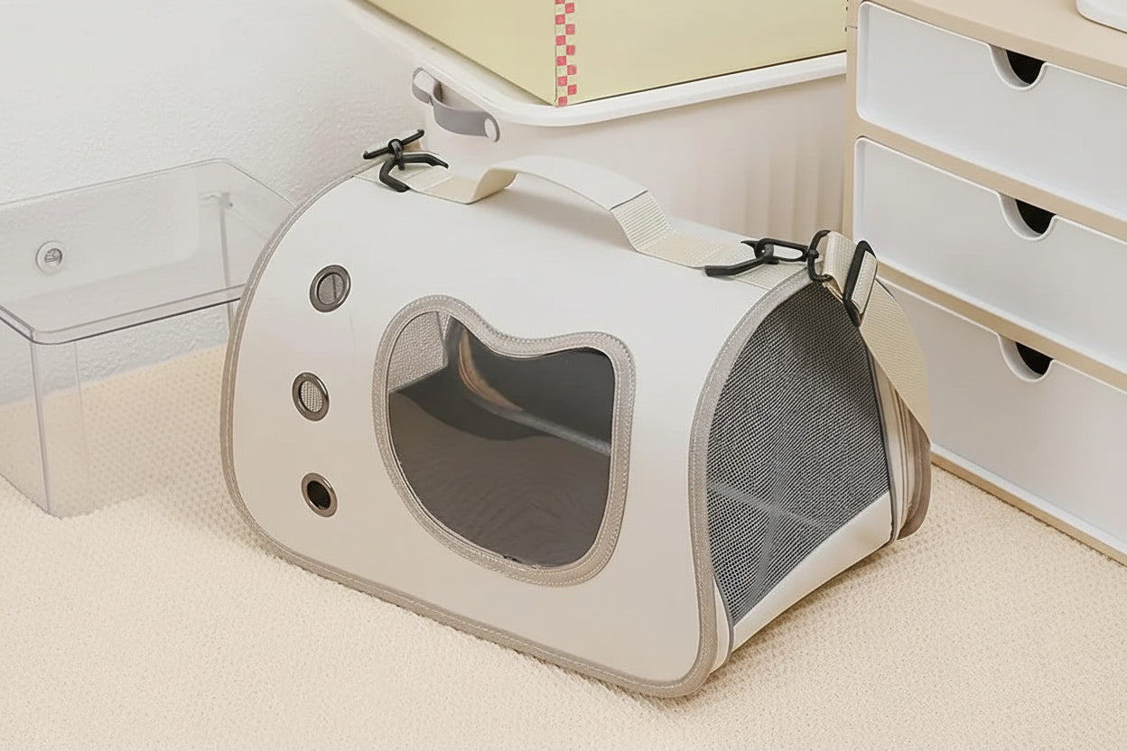 Cachorro pequeno dentro da bolsa de transporte para pets durante passeio ao ar livre
