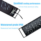 Peixe betta nadando iluminado pela Luz LED Full Spectrum para aquário Madrupet