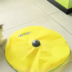 Gato adulto utilizando o tapete brinquedo interativo para gatos para entretenimento diário