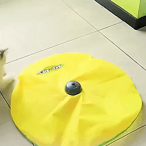 Gato adulto utilizando o tapete brinquedo interativo para gatos para entretenimento diário