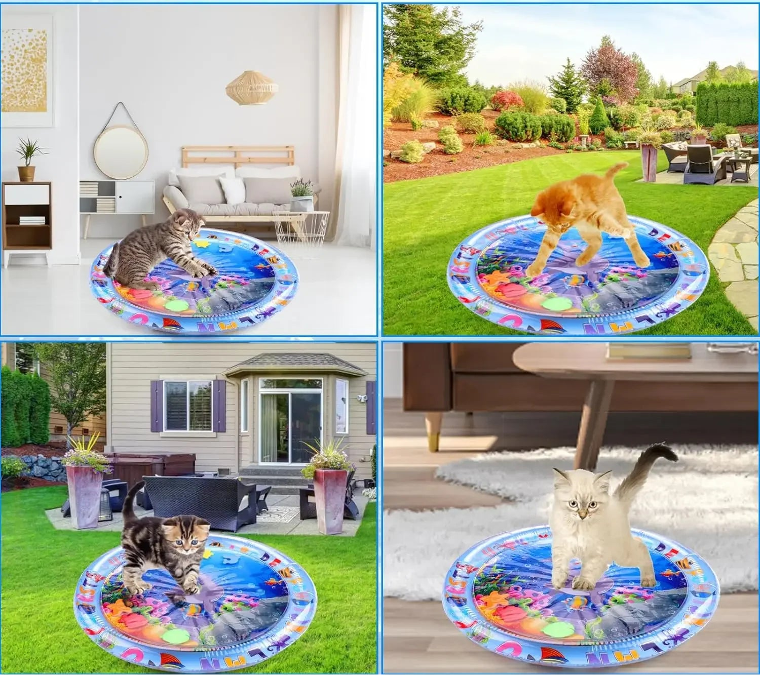 Gato explorando o tapete aquático sensorial, brinquedo que estimula os sentidos e o movimento