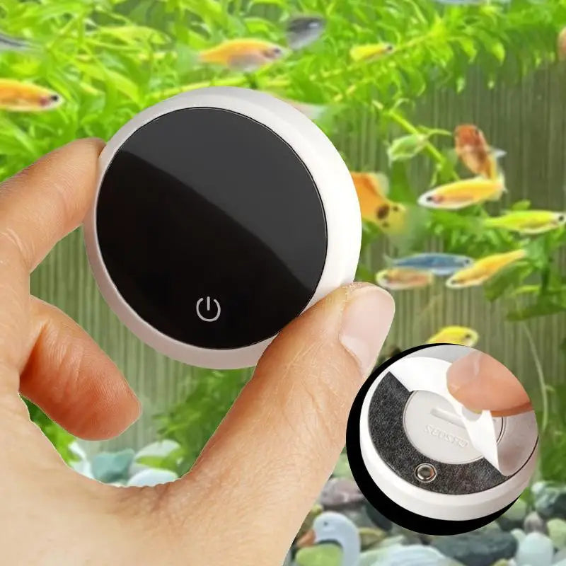 Peixe nadando próximo ao termômetro adesivo para aquário com leitura fácil e rápida