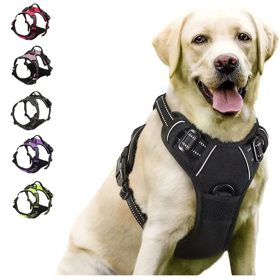 Peitoral para cachorro ajustável com controle anti puxão em cachorro ativo no parque