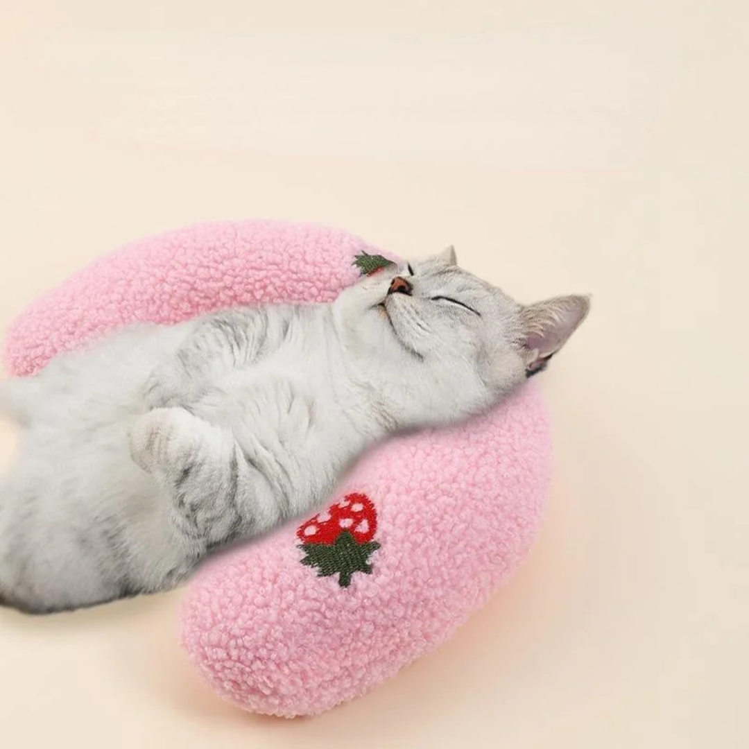 Gato dormindo relaxado sobre travesseiro ergonômico para gatos sem dores