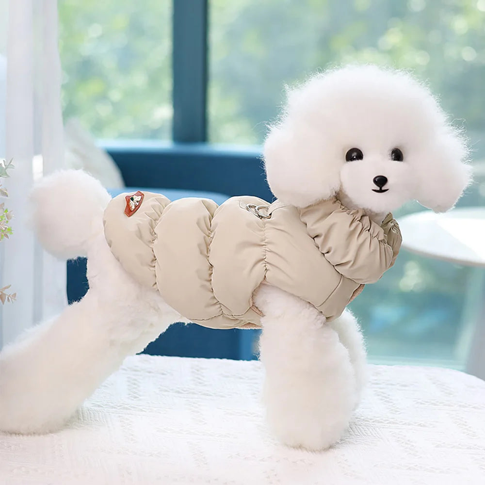 Gato pequeno vestindo casaco para frio com ajuste perfeito e capuz confortável