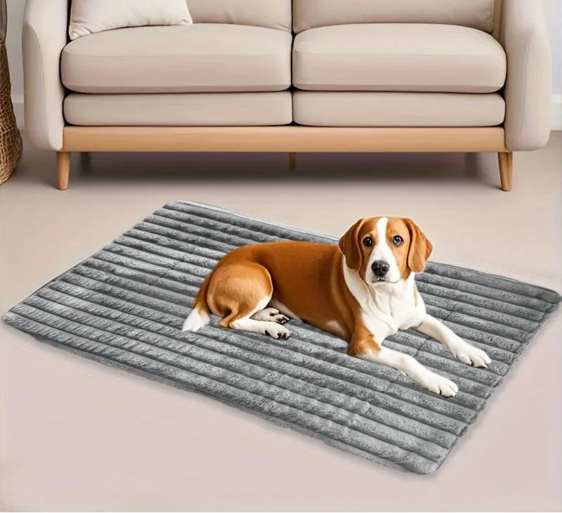 Cachorro descansando em cama para cachorro tipo colchonete, proporcionando conforto e relaxamento