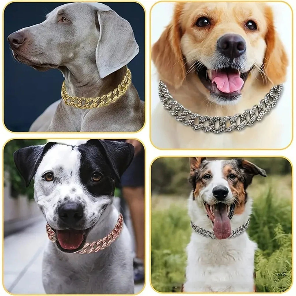 Detalhe do fecho resistente do colar pet estilo cubano para cães e gatos