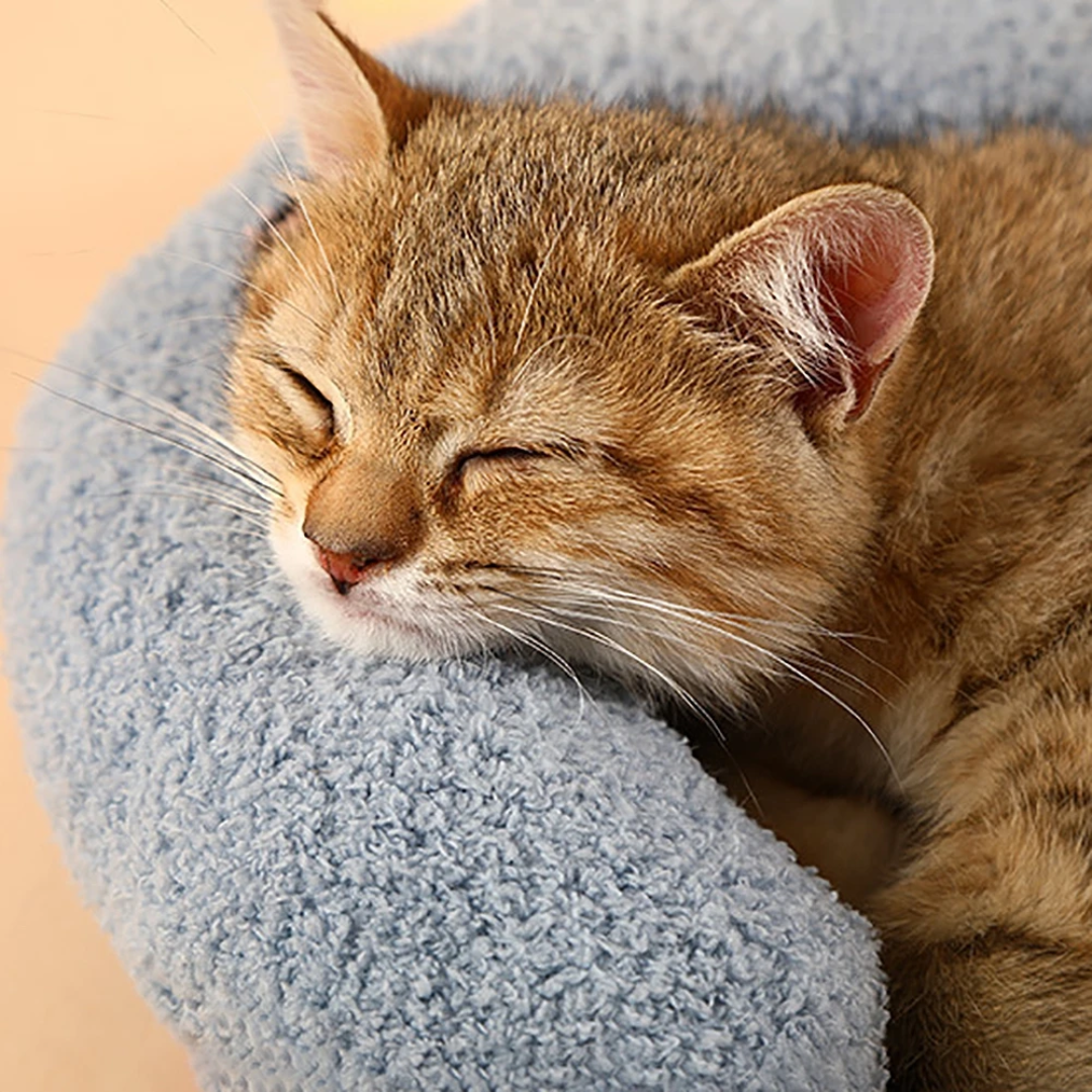 Travesseiro ergonômico para gatos com design moderno e funcional para descanso saudável