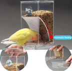 Comedouro automático para pássaros transparente com design que reduz sujeira para alimentação prática