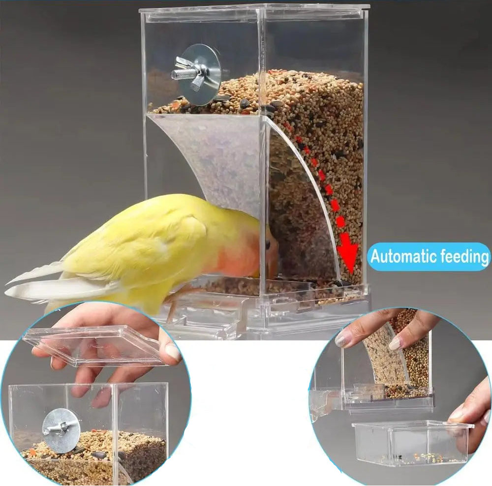 Comedouro automático para pássaros transparente com design que reduz sujeira para alimentação prática