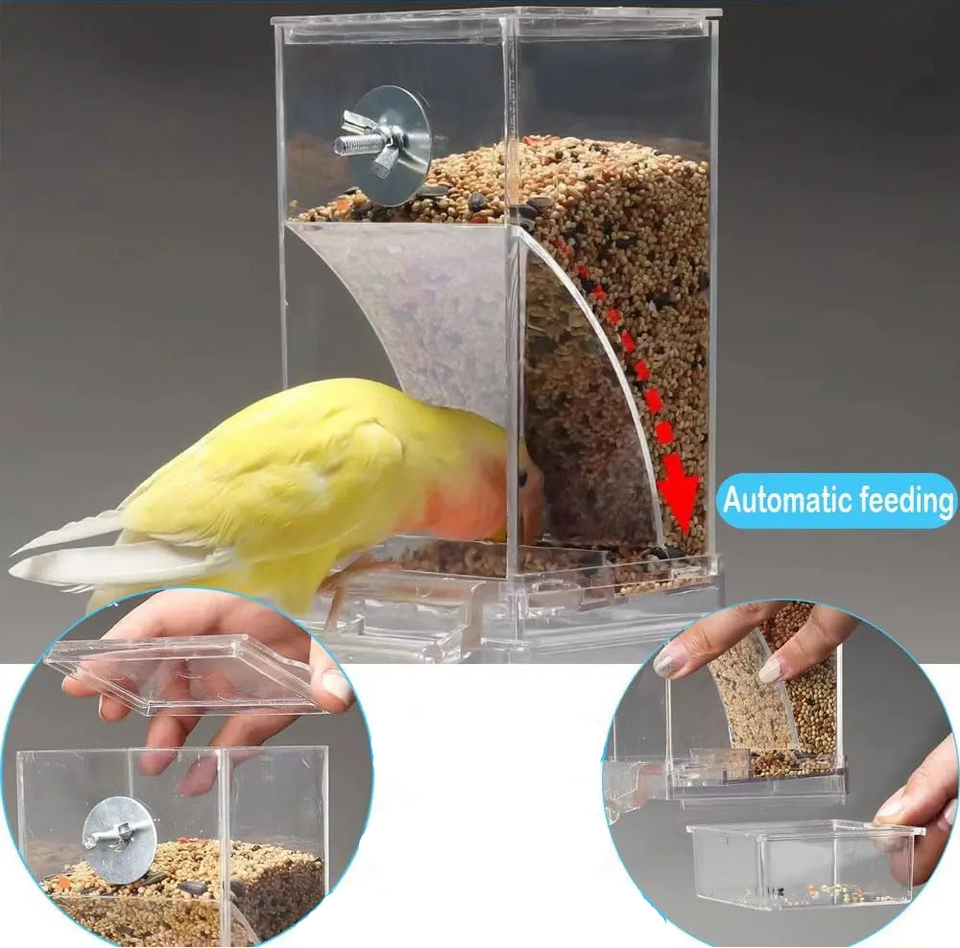 Comedouro automático para pássaros transparente com design que reduz sujeira para alimentação prática