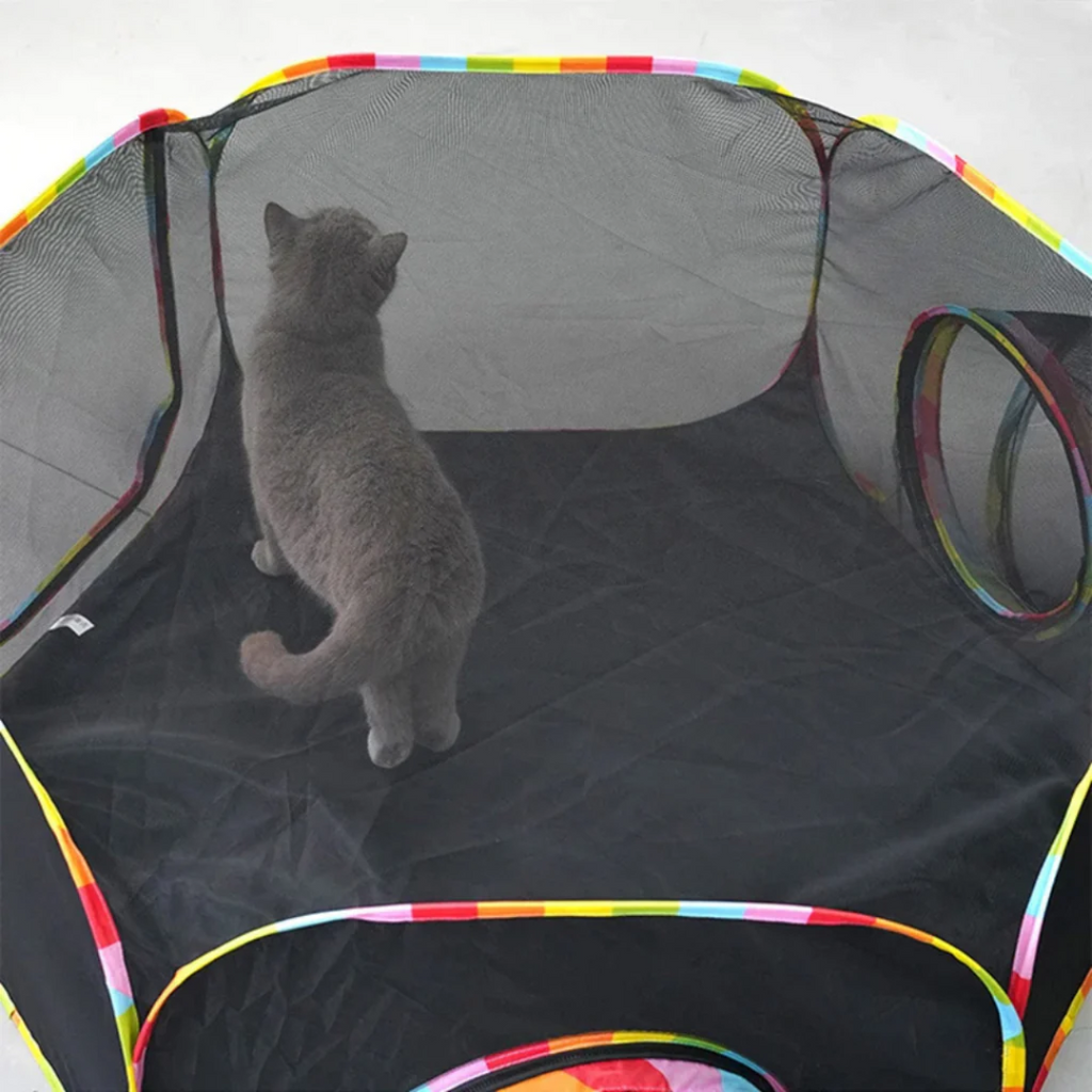Conjunto de barracas túnel para gatos em diferentes tamanhos para gatos de todos os portes