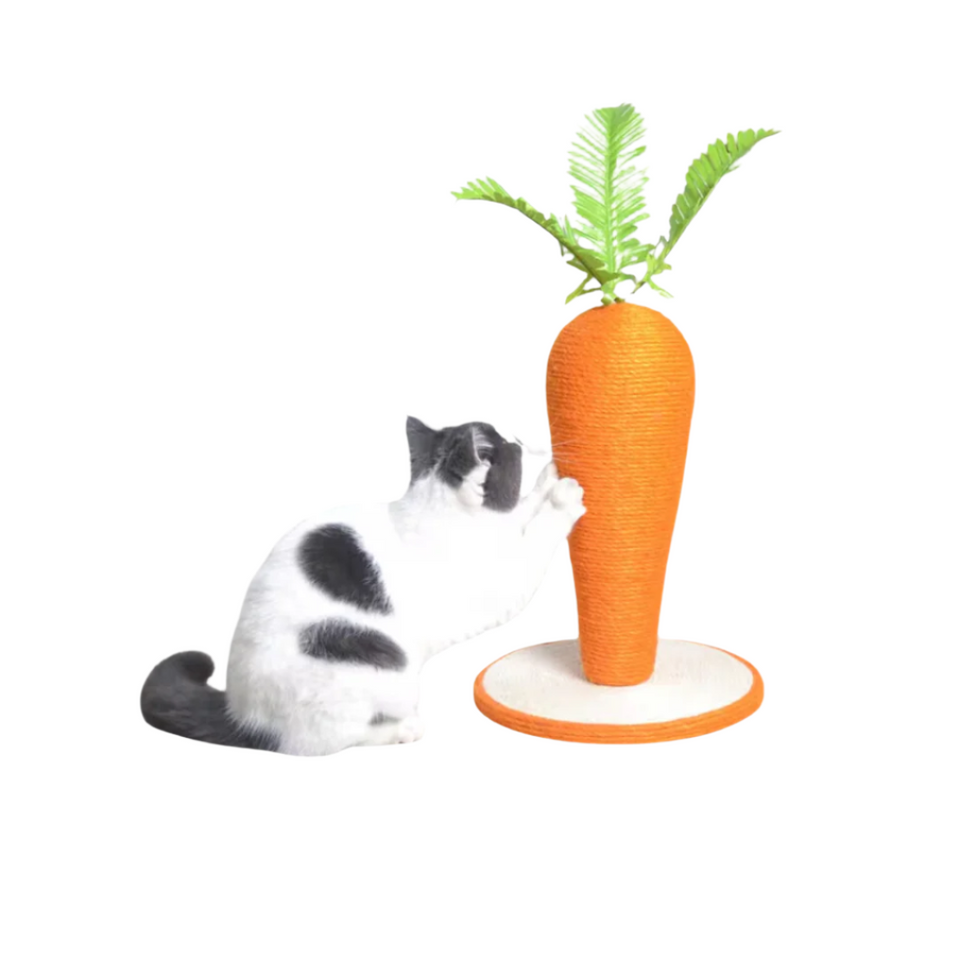 Arranhador cenoura para gatos com base estável e superfície texturizada para proteção dos móveis