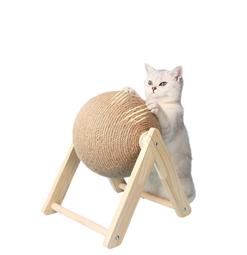 Gato usando arranhador bola para gatos, exercitando as garras e protegendo móveis