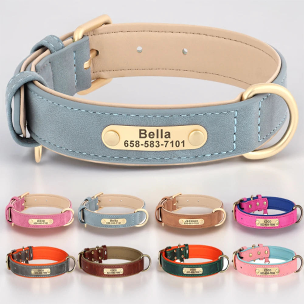Coleira personalizada para cachorro com identificação ajustável e material confortável para pets