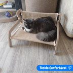Gato esticando as garras no arranhador de sisal da poltrona para gatos