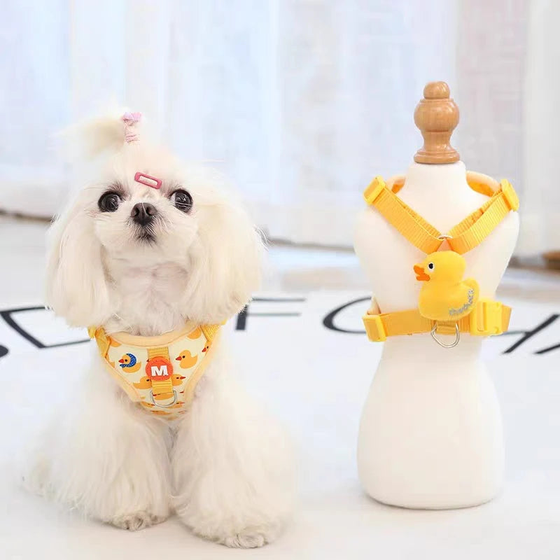 Cachorro feliz usando peitoral ajustável com estampa patinho, garantindo conforto e segurança no passeio