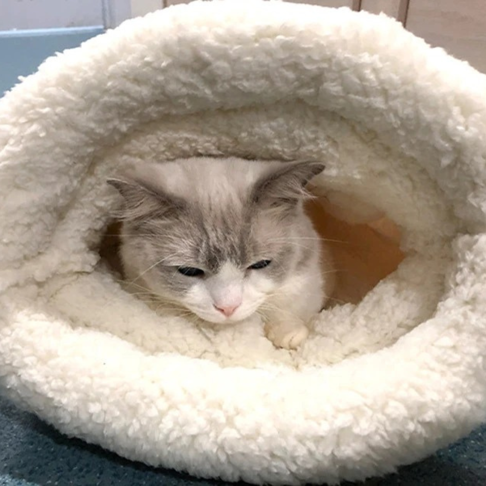 Cama saco para gatos posicionada próxima a janela em ambiente iluminado