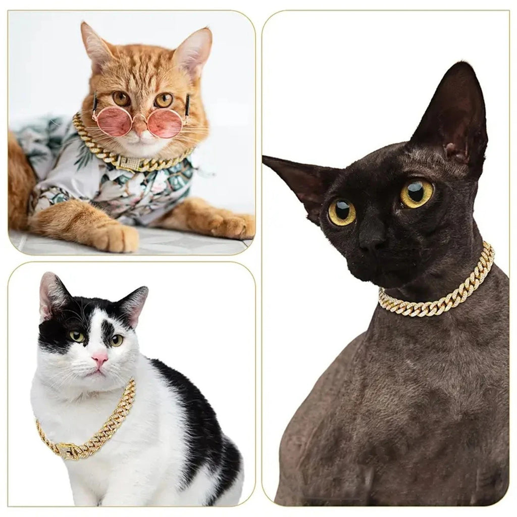 Colar pet estilo cubano na cor preta com acabamento brilhante para pets