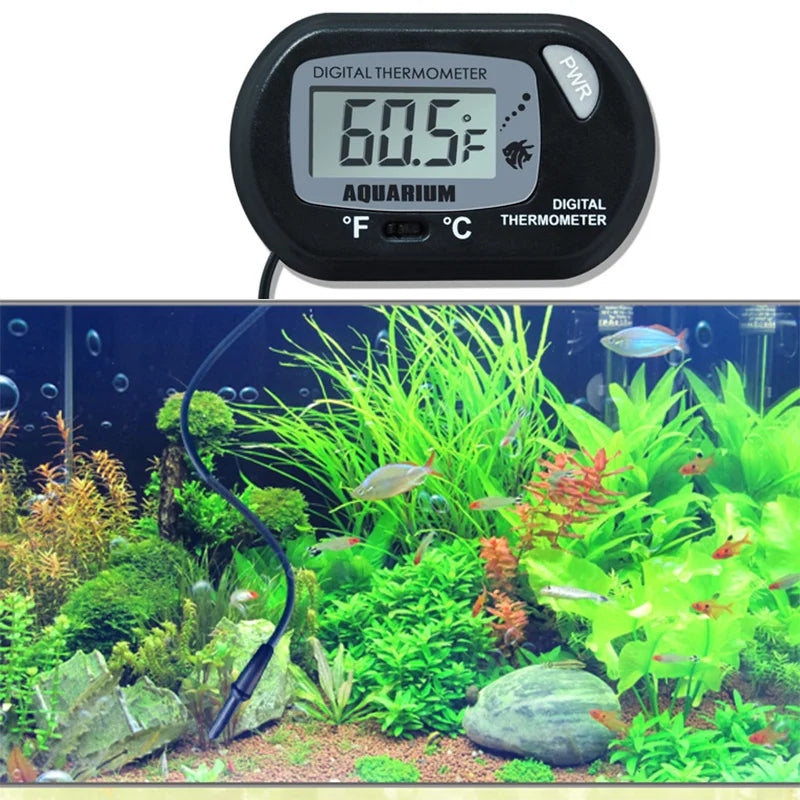 Aquarista ajustando o termômetro digital para aquário garantindo ambiente ideal para os peixes