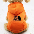 Cachorro pequeno vestindo moletom com capuz The Dog Face em ambiente aconchegante dentro de casa