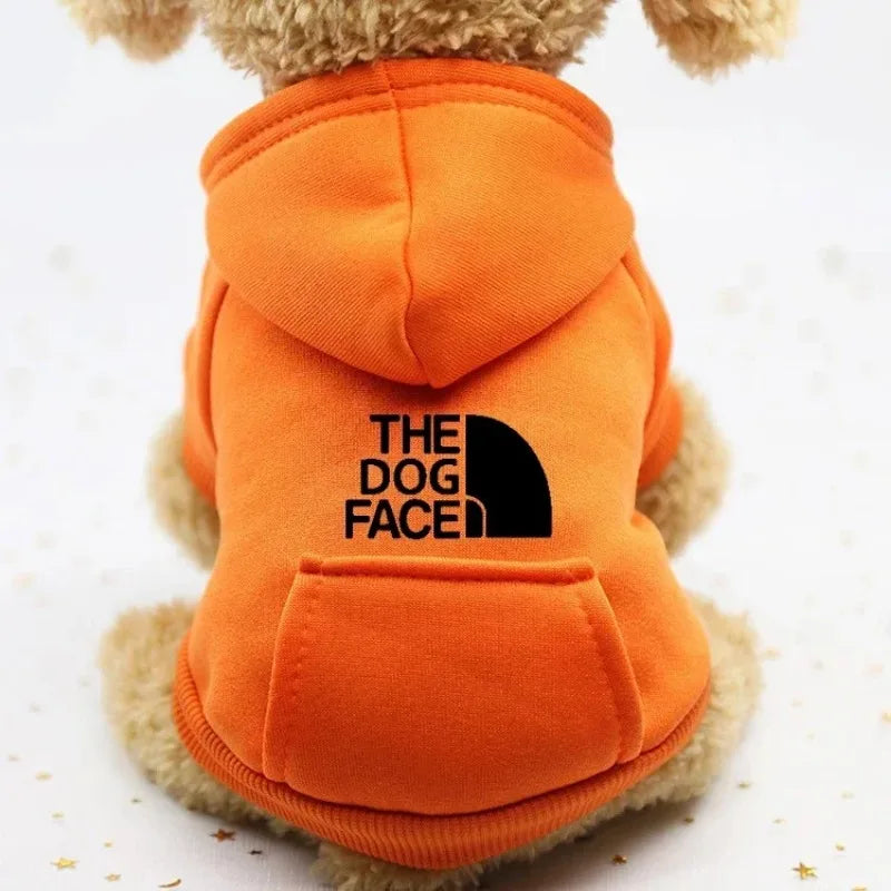 Cachorro pequeno vestindo moletom com capuz The Dog Face em ambiente aconchegante dentro de casa